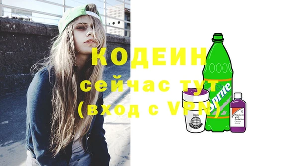 гидра Богородск