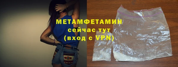 гидра Богородск