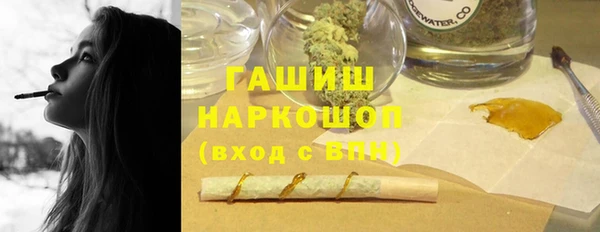 гидра Богородск