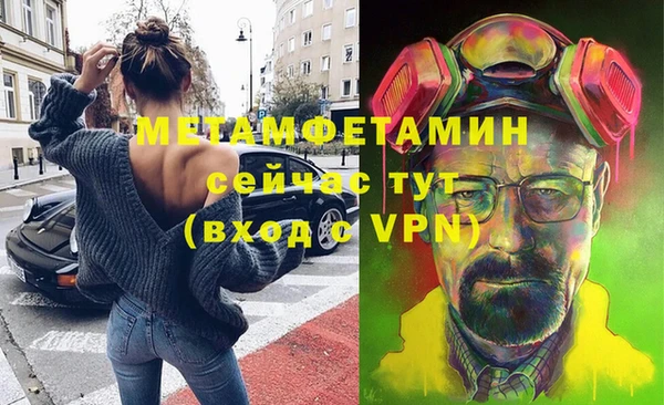 гидра Богородск