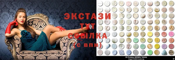 гидра Богородск