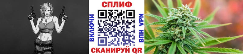 цены Козьмодемьянск Бошки Шишки White Widow